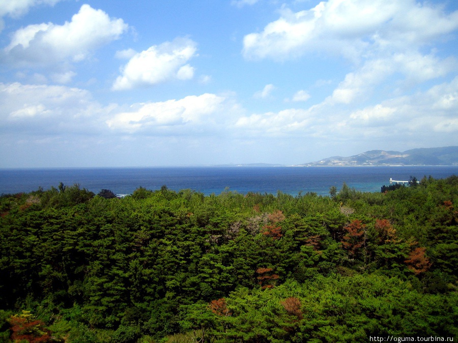 Просто пейзаж по пути. Префектура Окинава, Япония