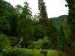 парк возле замка Бран