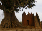 Старая мечеть и старое дерево.