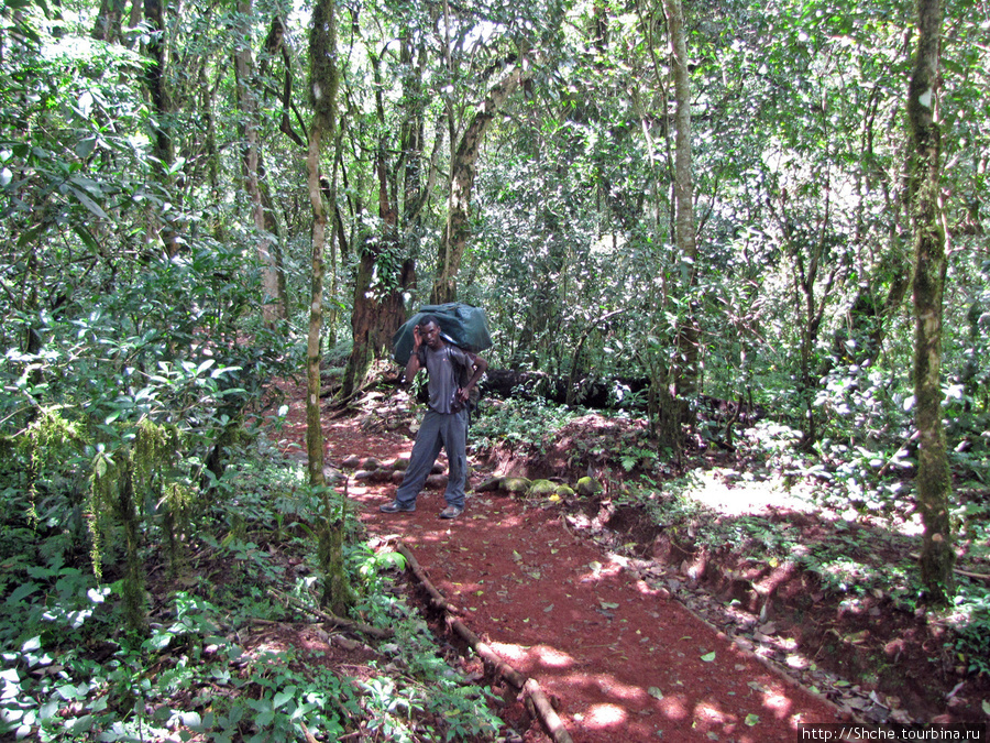 Наш носильщик Бима. Килиманджаро Национальный Парк, Танзания