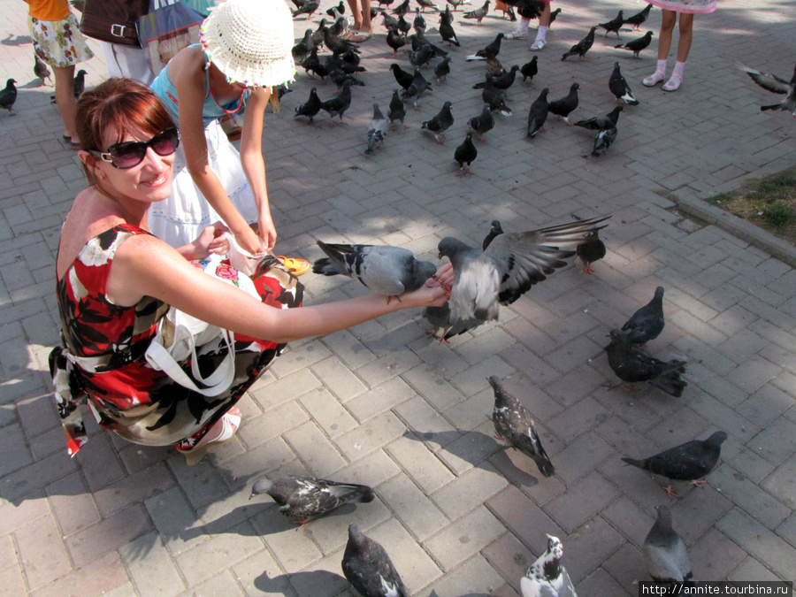 Кормим голубей на площади около центрального рынка. Геленджик, Россия