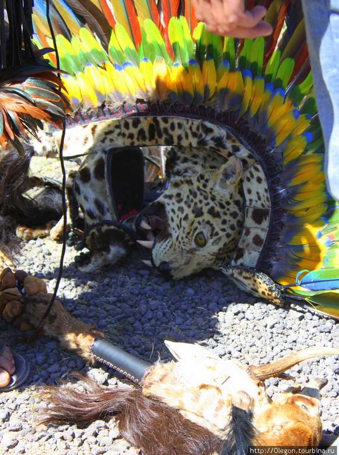 Наряд с головой леопарда Теотиуакан пре-испанский город тольтеков, Мексика