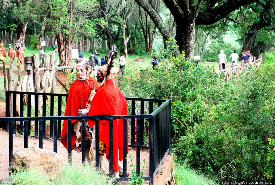 Кукуйки, охраняющие подход на смотровую площадку Ньяхуруру, Кения