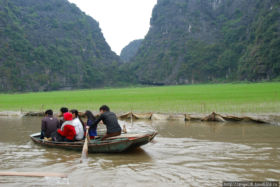 «Халонг среди рисовых полей» Вьетнам
