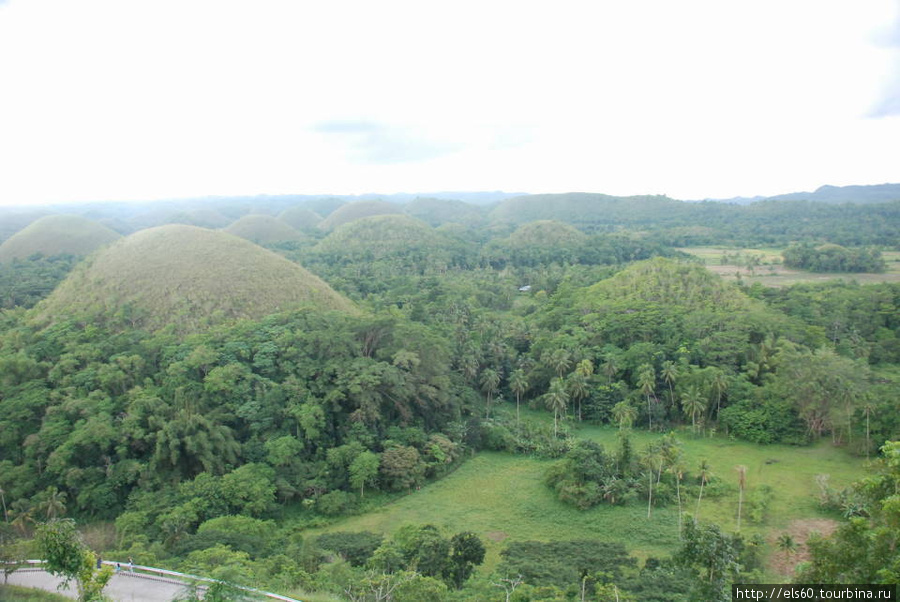 Шоколадные холмы — это известковые образования куполообразной формы, заросшие выгоревшей на солнце травой и похожие на шоколадные трюфели. Остров Бохол, Филиппины