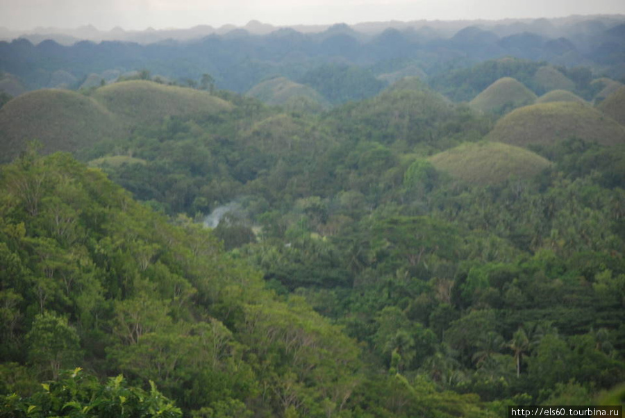 Долгопяты, Шоколадные холмы и худ. самодеятельность Остров Бохол, Филиппины