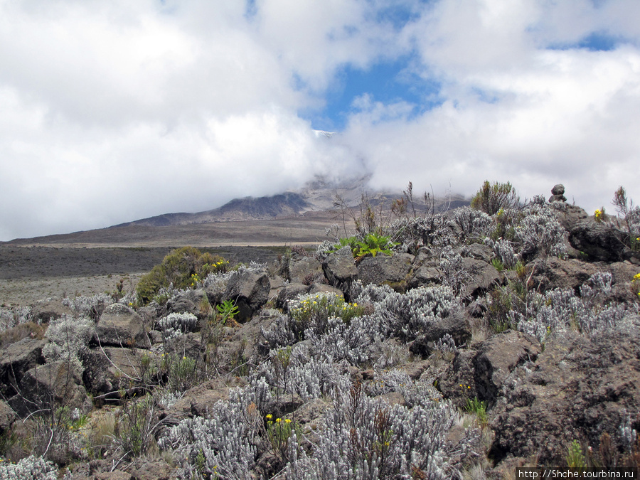 с противоположной Ухуру — наша конечная цель Гора (вулкан) Килиманджаро (5895м), Танзания