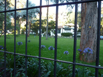 За оградой -Парк Мерседес Перес,  с музеем Эл Чико.