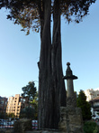 Древние деревья перед парком  Museo del Chico