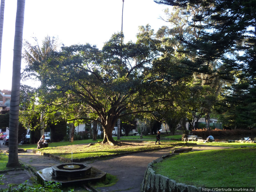 Уютно в парке, тихо и спокойно, хотя он в центре города. Богота, Колумбия