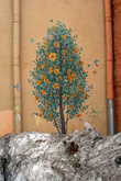 Цветущее дерево во дворе на Гороховой