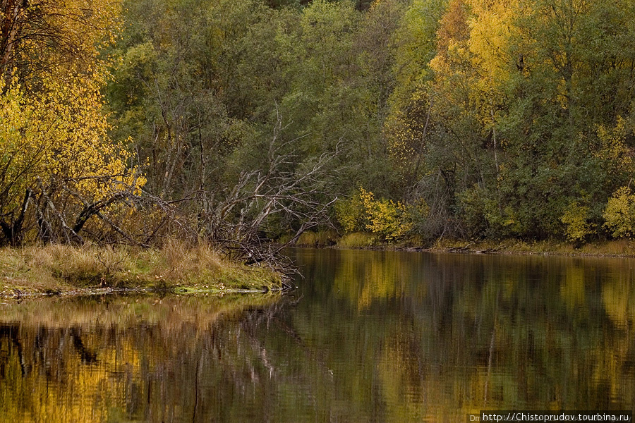 Река Гушкалка. Олонец, Россия