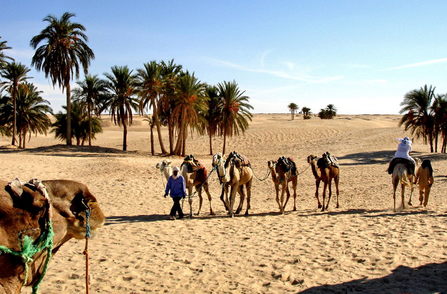 Большое путешествие к северу южной пустыни Тунис