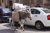 Здесь до сих пор ишаки — один из видов транспорта, как грузового, так и пассажирского