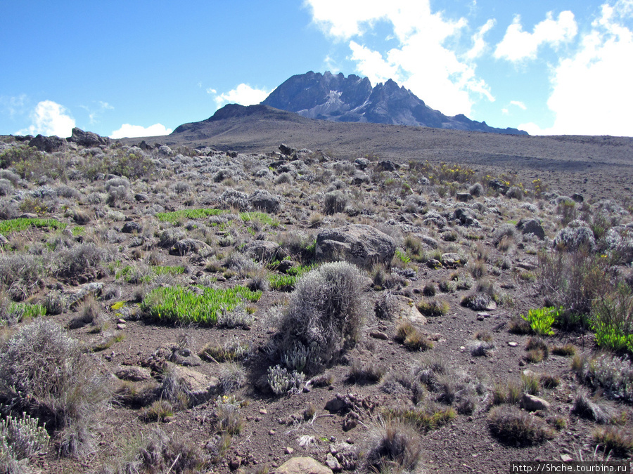 Kibo Hut (4703m) — последний лагерь перед вершиной Кили. Гора (вулкан) Килиманджаро (5895м), Танзания
