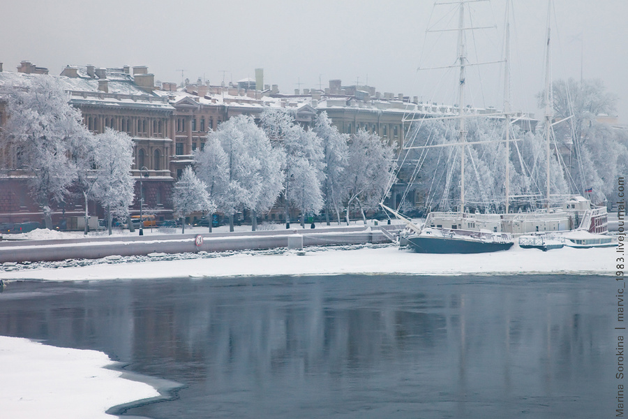 Молочное небо, густой туман окутывающий все словно шаль, белый иней покрывший серебряным налетом деревья, ограды и мосты Санкт-Петербург, Россия
