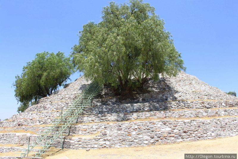 Пирамида цветов Штат Тласкала, Мексика