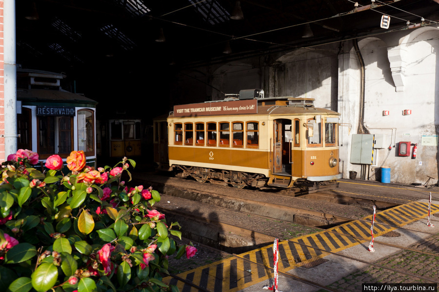 Музей трамваев / Museu do Carro Eléctrico do Porto