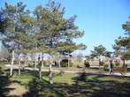 парк санатория имени Пирогова