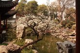 Парк Yu Yuan (Yu Garden)