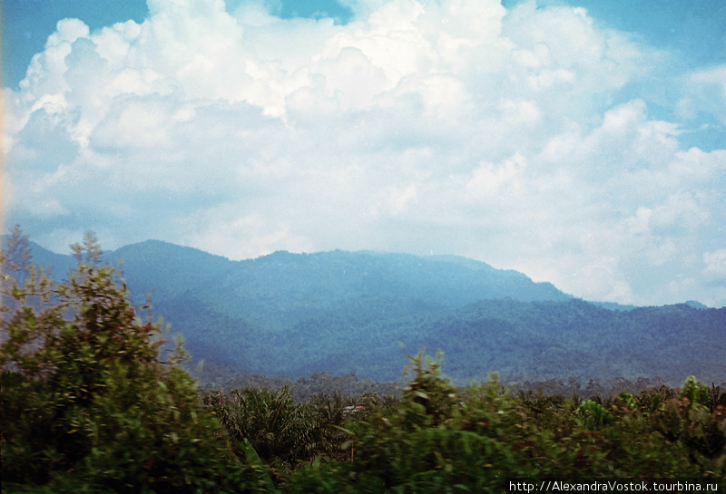 горы в облаках Малайзия
