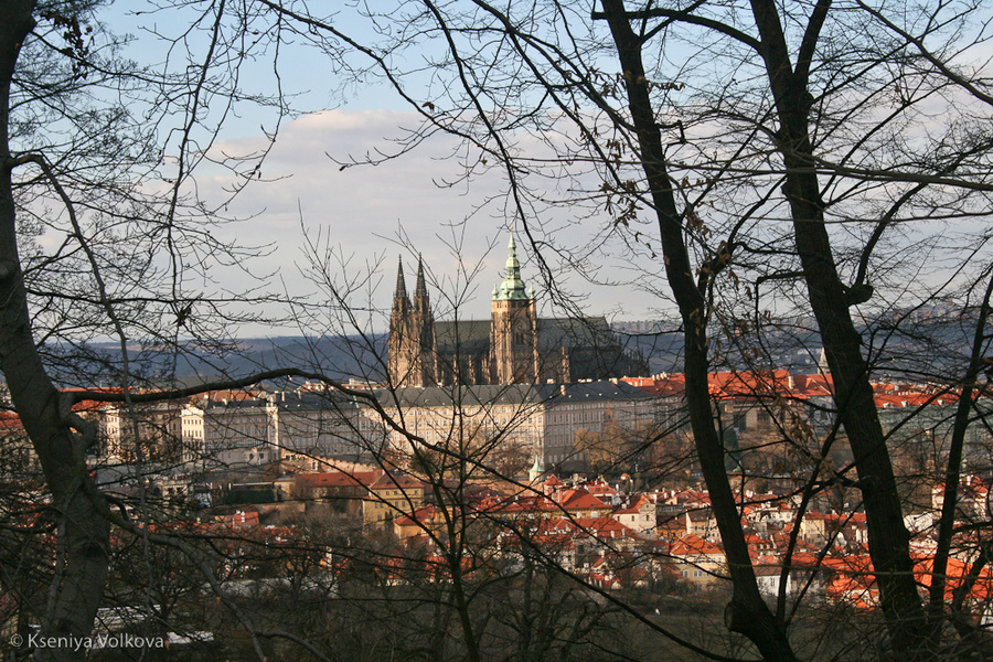 вид на собор Святого Вита Прага, Чехия