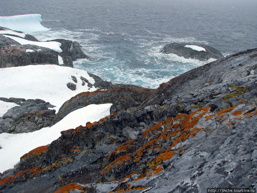 Противоположный берег скалист и неприветлив... Остров Плено, Антарктида