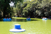 Озеро в парке Чапультепек