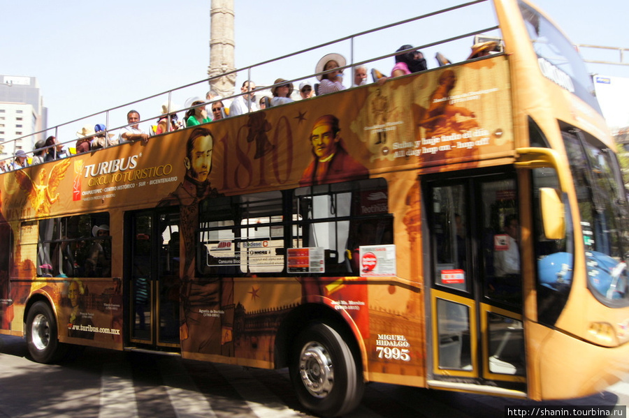 Туристический экскурсионный автобус на главном проспекте Мехико Мехико, Мексика
