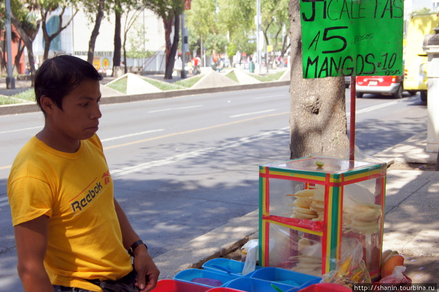 Продавец освещающего фруктового льда Мехико, Мексика