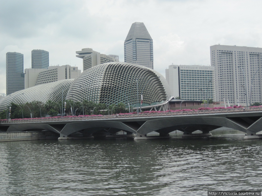 Концертный зал Эспланада построен в форме дуриана Сингапур (город-государство)