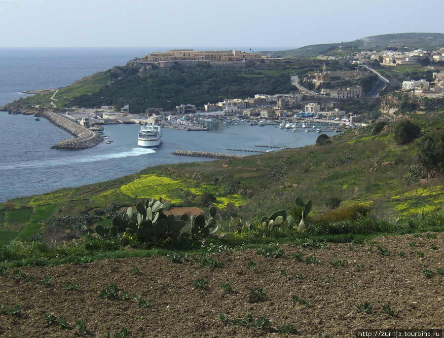 Порт о. Гозо (Мджарр, Гозо) Ала, Мальта