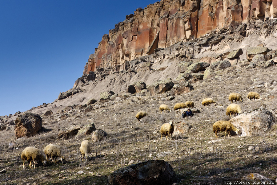 Пастух выпасает овец... Ихлара (долина), Турция