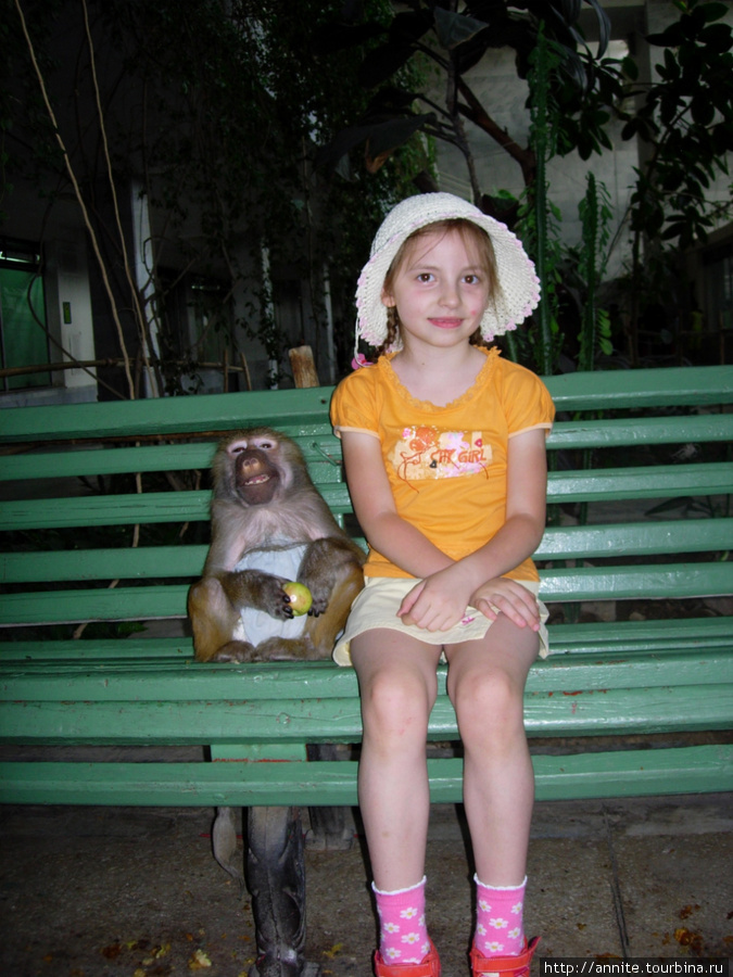 У девочки Леры теперь есть подружка — обезьянка Анфиска. Ташкент, Узбекистан