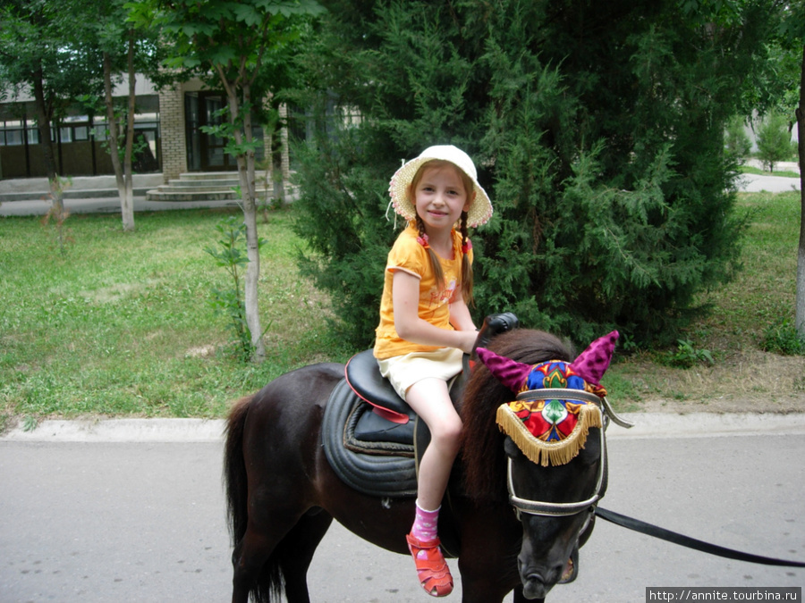 Валерия оседлала пони. Ташкент, Узбекистан