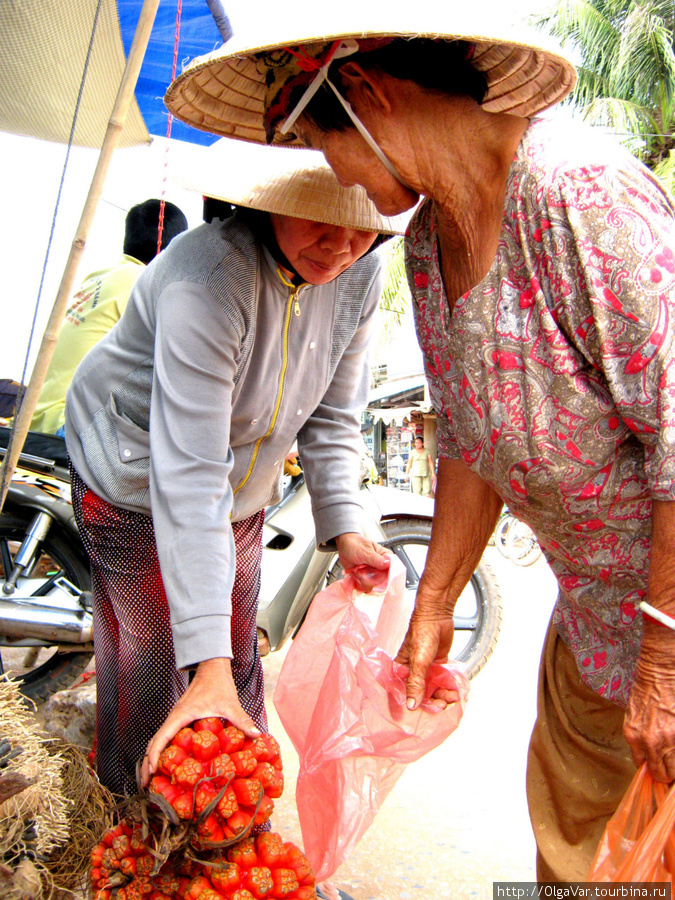 Продавец и покупатель Остров Фу Куок, Вьетнам