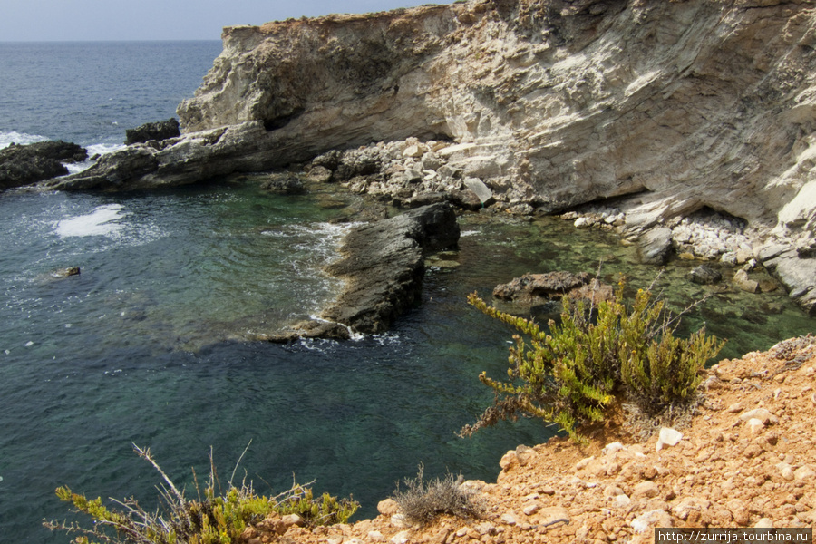 Рука и море Ренди, Мальта