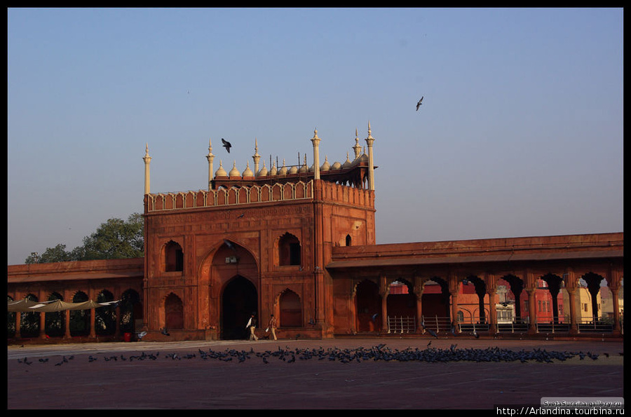 Дели. Jama Masjid — самая большая мечеть Индии Дели, Индия