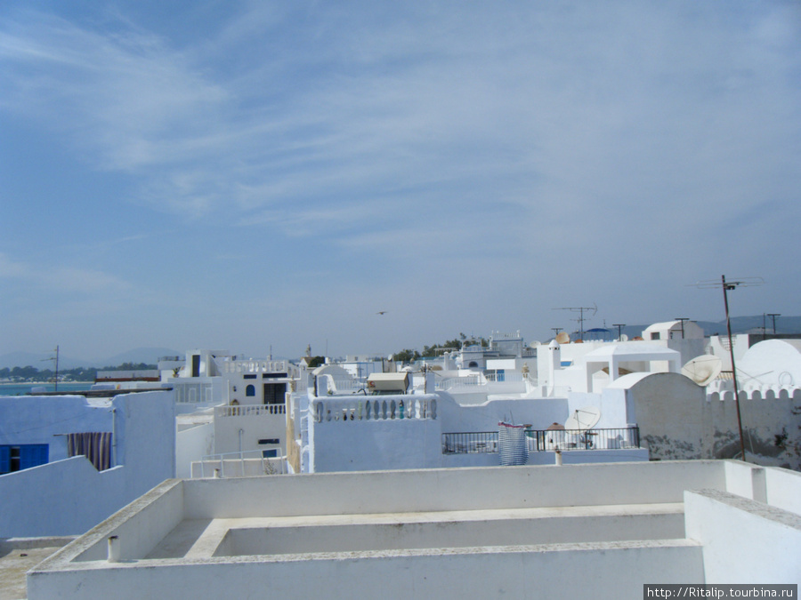 Крыши медины. Тунис