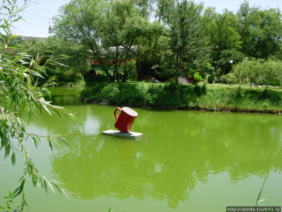 Кружка Нескафе в озере. Ташкент, Узбекистан