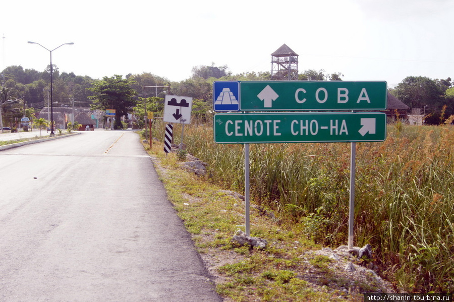 Дорога к руинам Коба проходит прямо по берегу озера Коба, Мексика