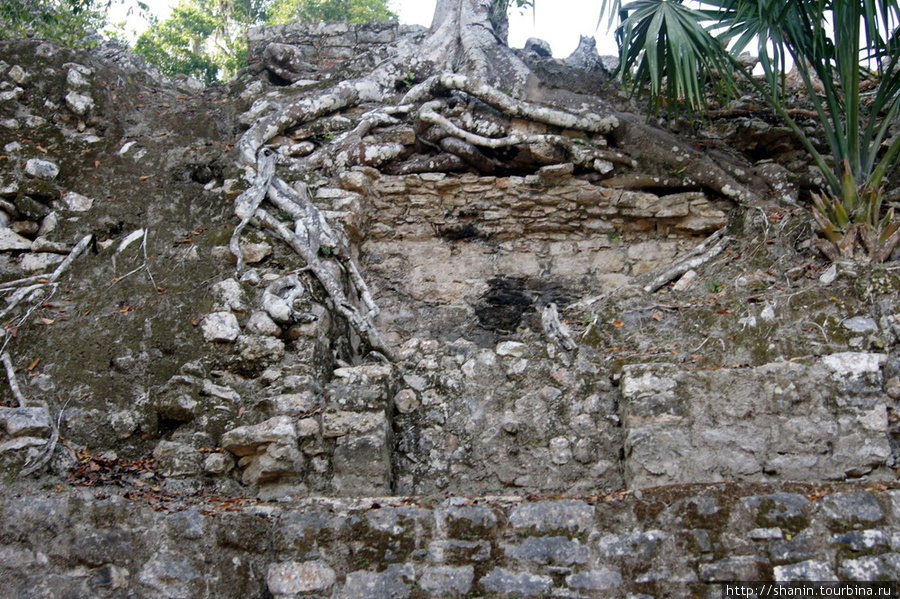 Ближняя группа руин Коба, Мексика