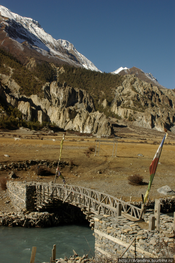 Annapurna Circuit Trek, ноябрь 2007, часть восьмая Непал