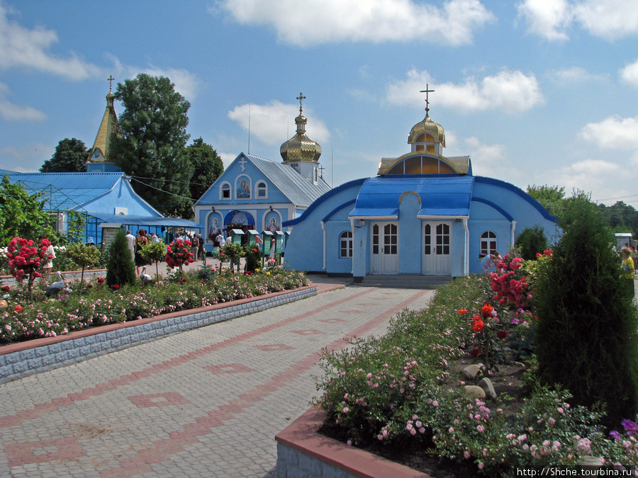 Территория вся в цветах Онишковцы, Украина