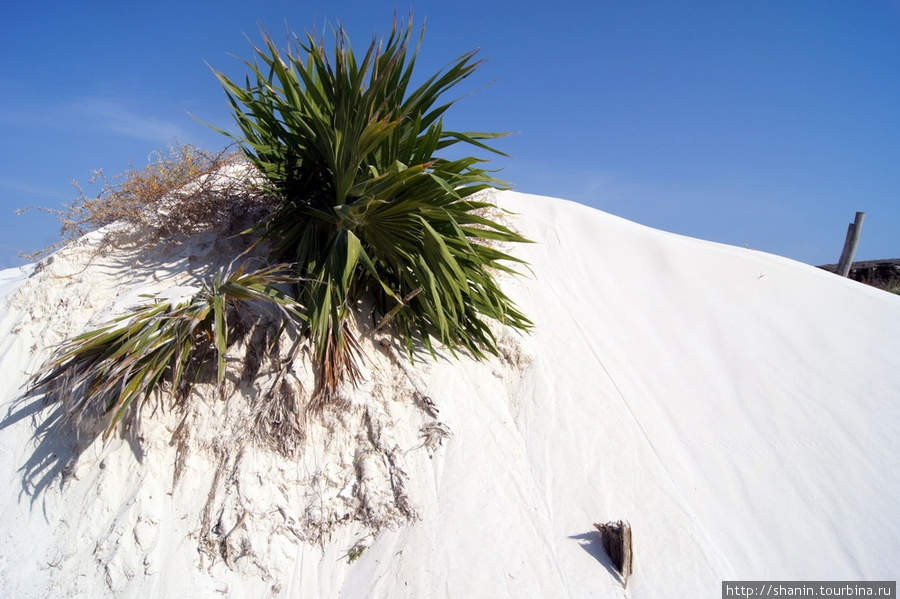 Белые-белые дюны Тулум, Мексика