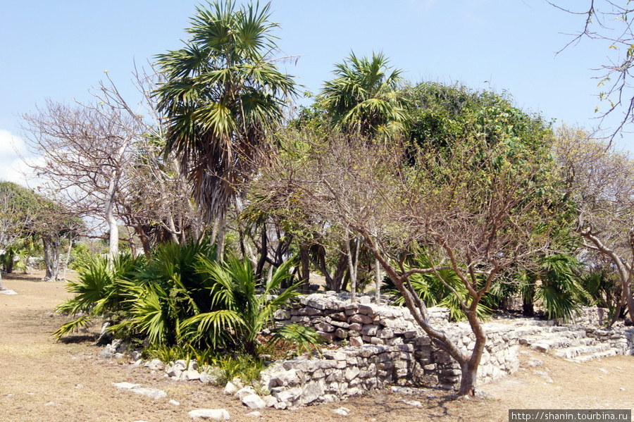 Руины над пляжем Тулум, Мексика