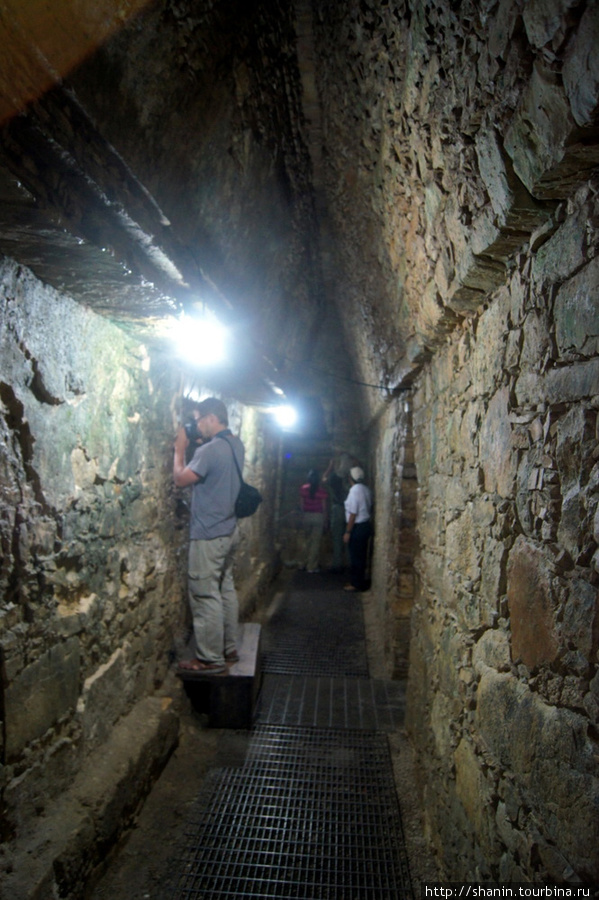 В гробнице сейчас пусто — только туристы Паленке, Мексика