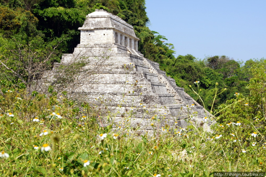 Храм надписей Паленке, Мексика