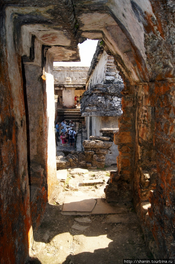 Руины дворца правителей Паленке Паленке, Мексика