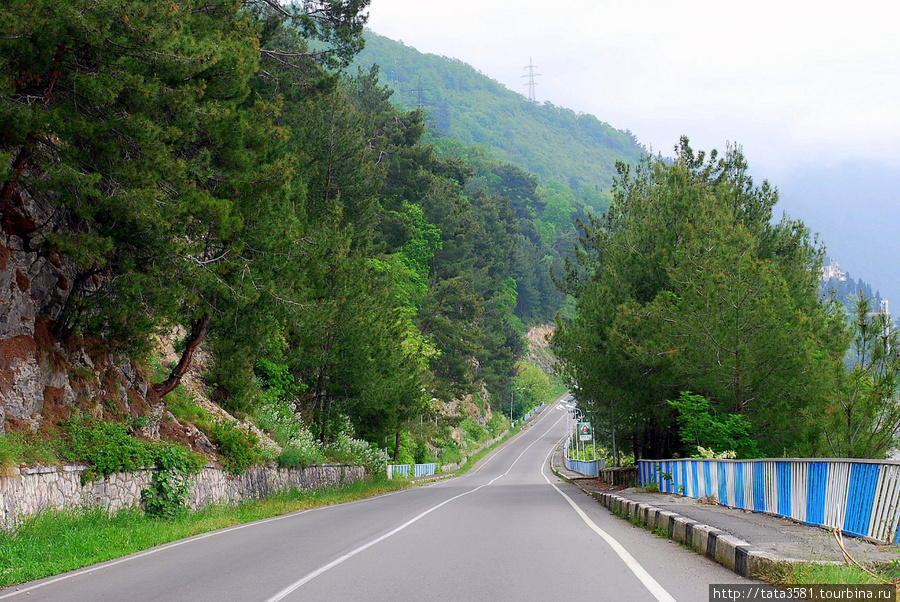 По дороге на озеро Рица. Рица Реликтовый Национальный Парк, Абхазия